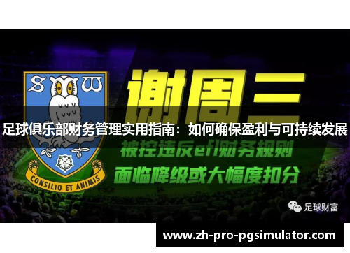 足球俱乐部财务管理实用指南：如何确保盈利与可持续发展