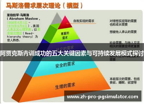 阿贾克斯青训成功的五大关键因素与可持续发展模式探讨
