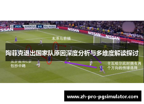 陶菲克退出国家队原因深度分析与多维度解读探讨