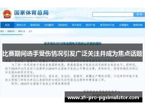 比赛期间选手受伤情况引发广泛关注并成为焦点话题