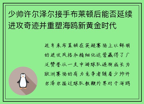 少帅许尔泽尔接手布莱顿后能否延续进攻奇迹并重塑海鸥新黄金时代